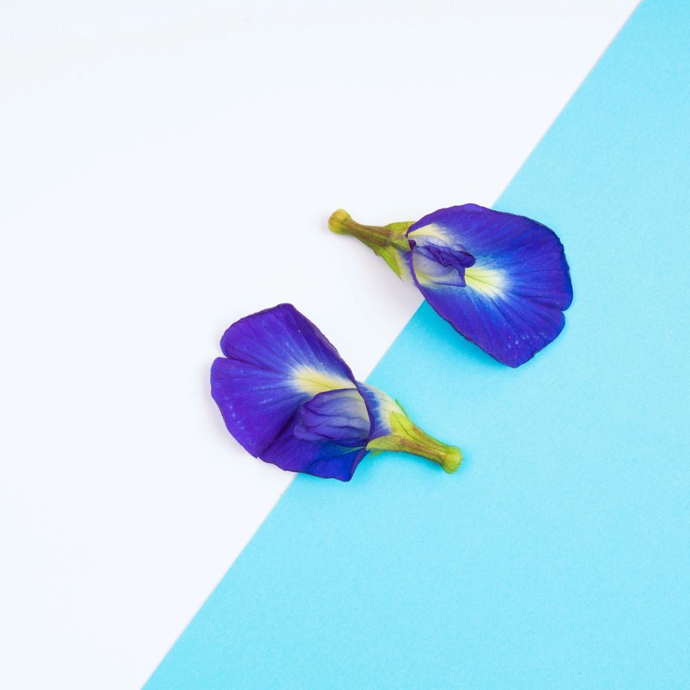 Butterfly Pea Flower Dried half and half