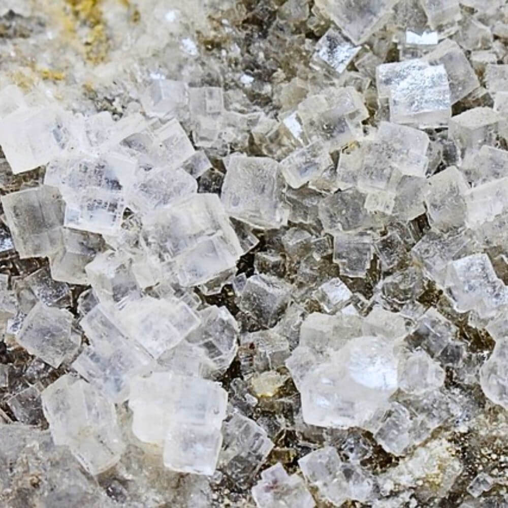 Trace Mineral Salt 2
