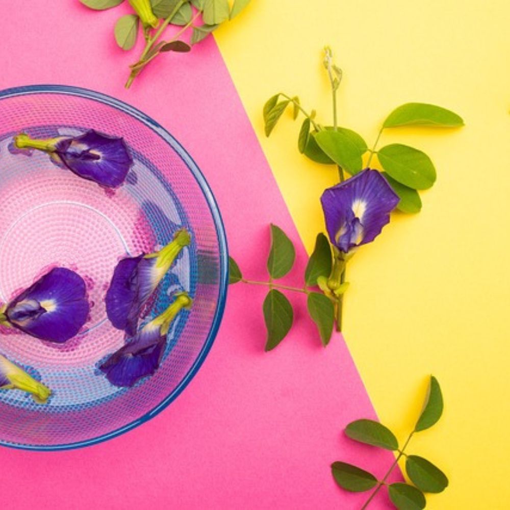 Butterfly Pea Flower Cocktail 4