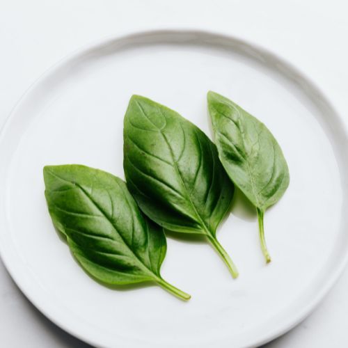 Why African Blue Basil Is The Herb Your Kitchen's Been Missing!