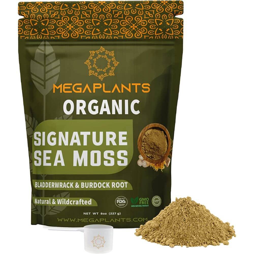 The Top 10 Benefits Of Sea Moss Powder You Need To Know About Right Now, And Our Top Pick!