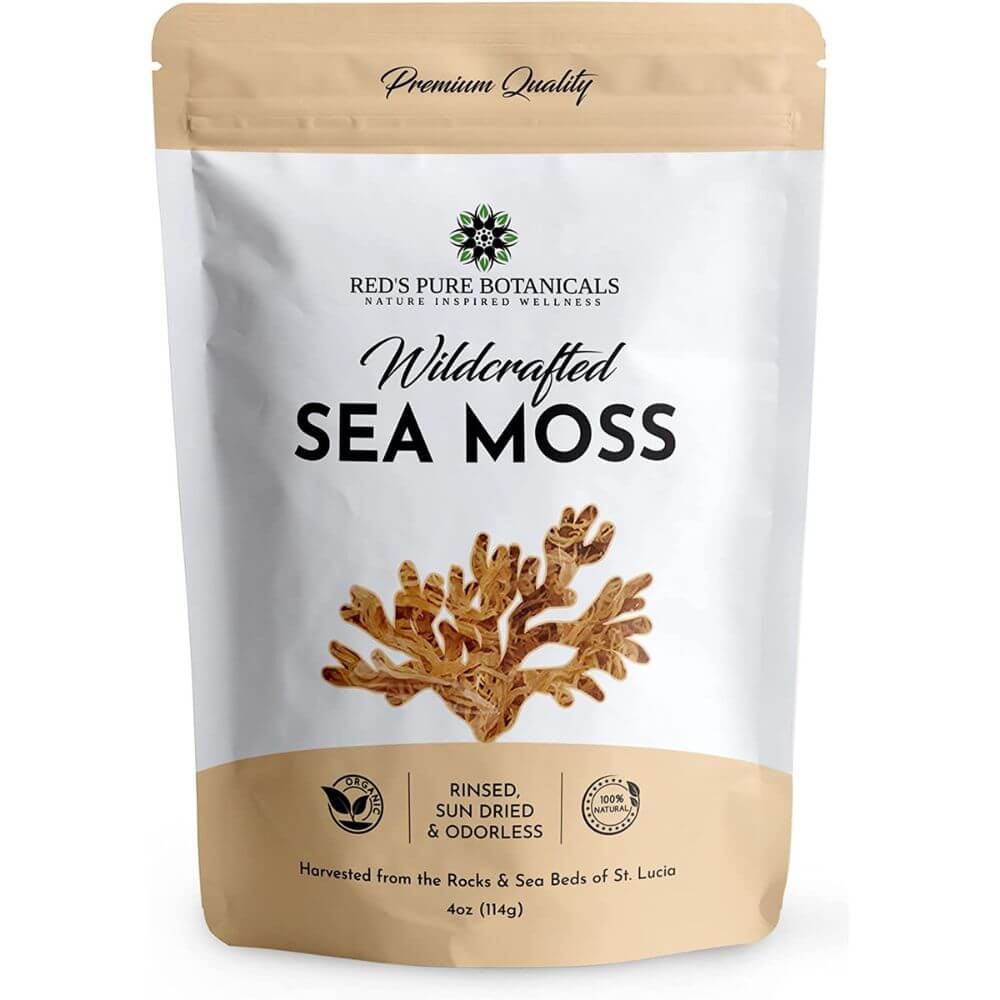 Wildcrafted Sea Moss: How It's Changing The Health Game!