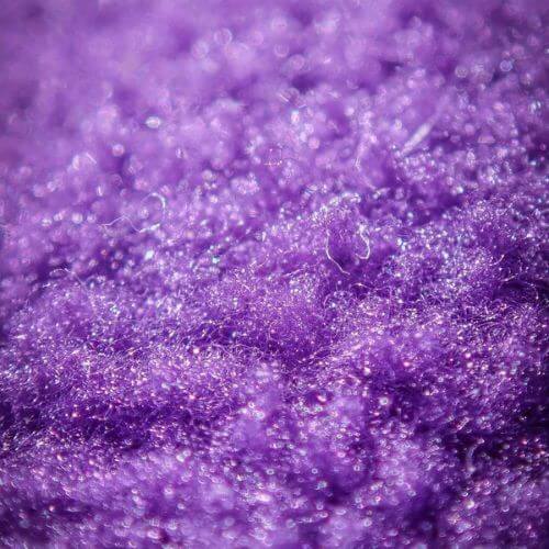 Purple Sea Moss