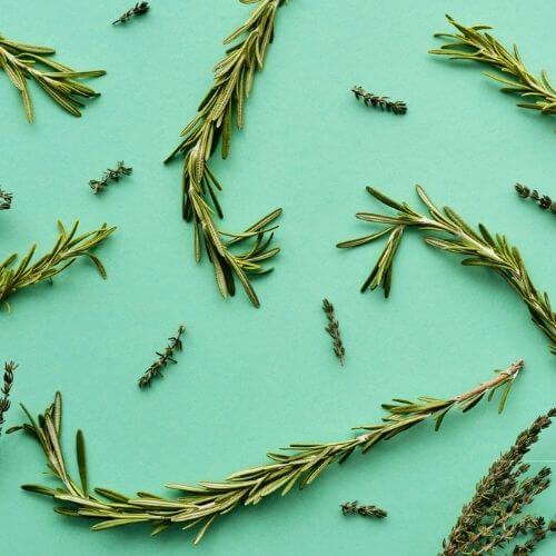 Pure Rosemary Oil