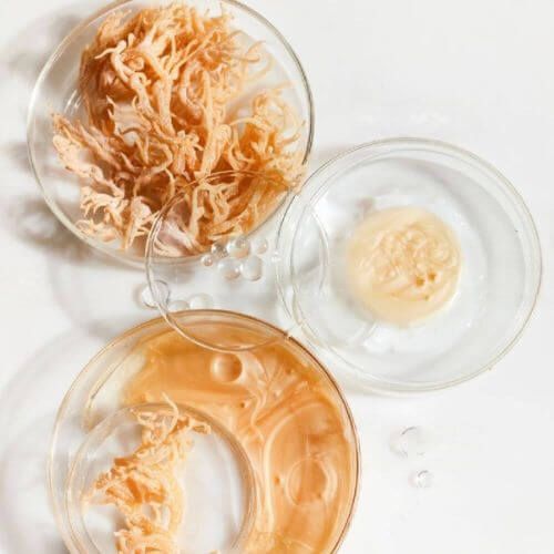 Irish Sea Moss Gel